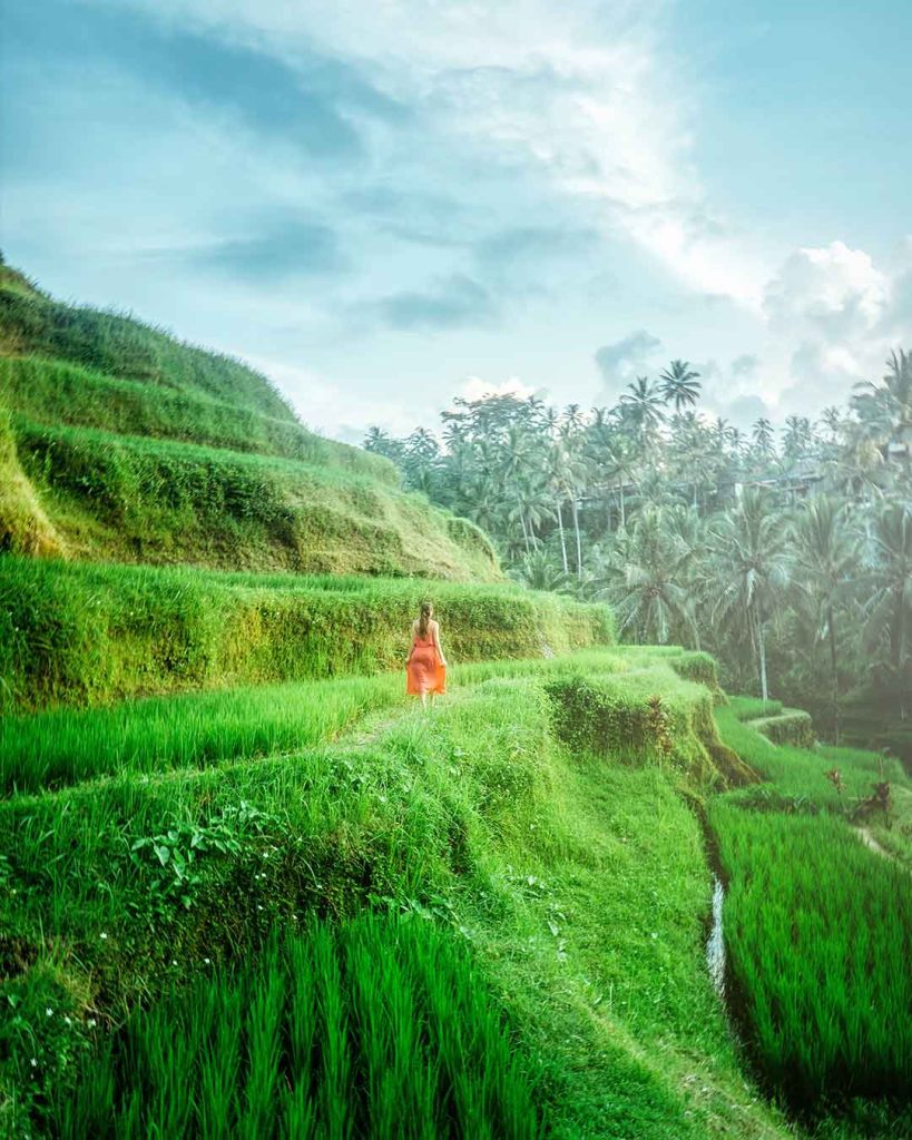 Sewa Mobil Manual Matic di Bali Lepas Kunci Karya Rent Car Bali